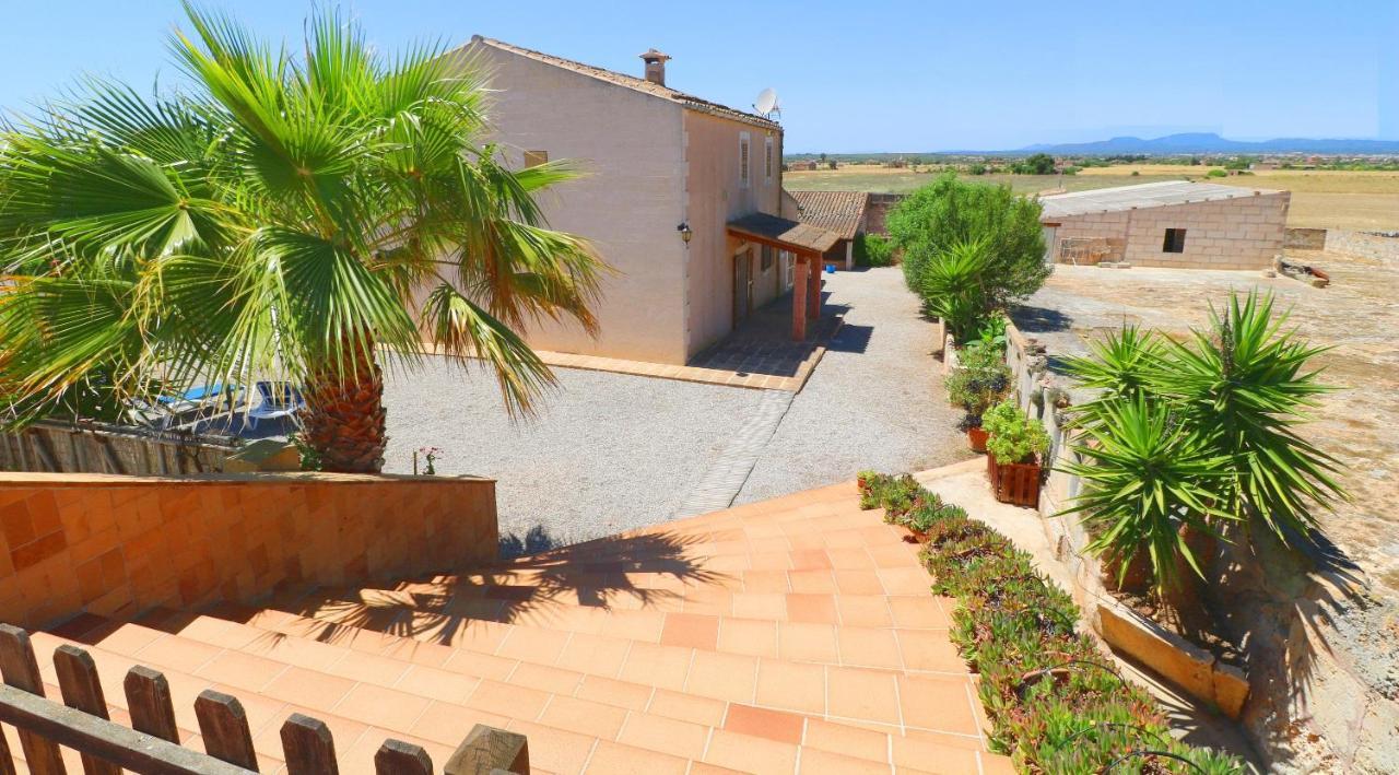 Alcoraia Vila Campos  Exterior foto