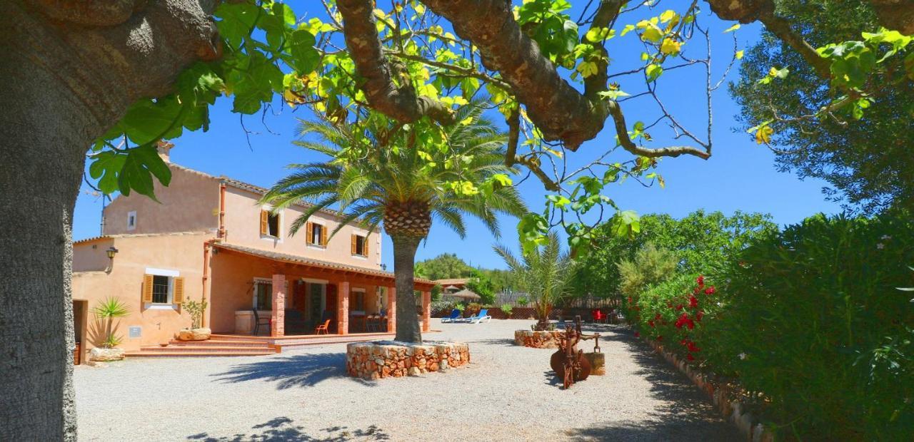 Alcoraia Vila Campos  Exterior foto